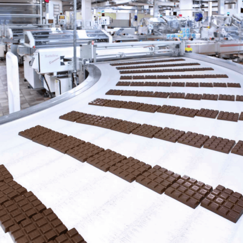 Организация работ в Щелкино